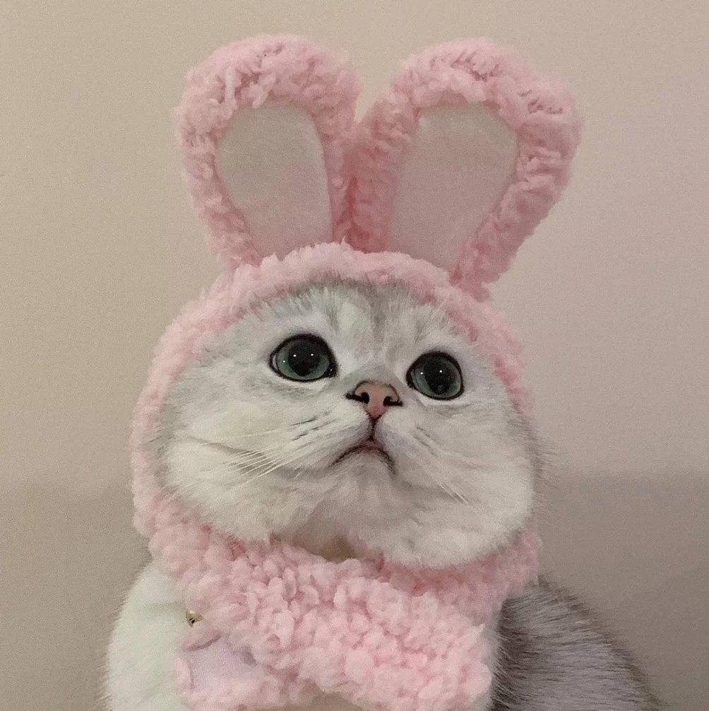 比基尼海滩第一蟹皇堡