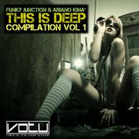 This Is Deep Compilation Vol 1