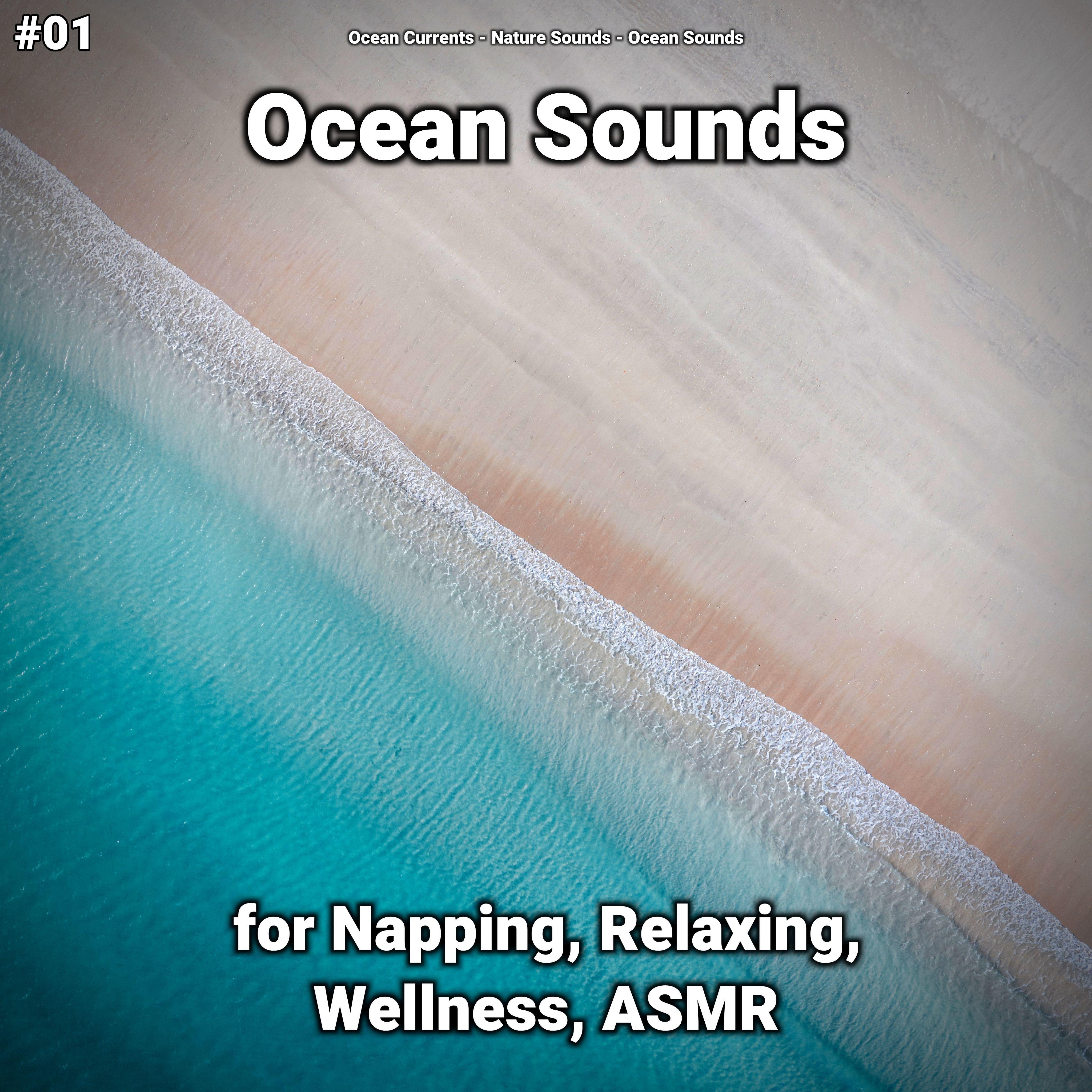 Ocean Sounds Pt. 69