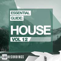 Essential Guide: House, Vol. 12