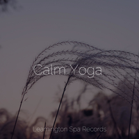 Calm Yoga