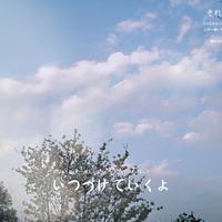 青兮子