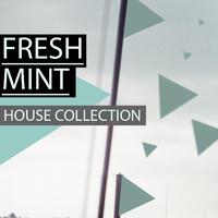 Fresh Mint