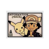 Information (Pikachu)