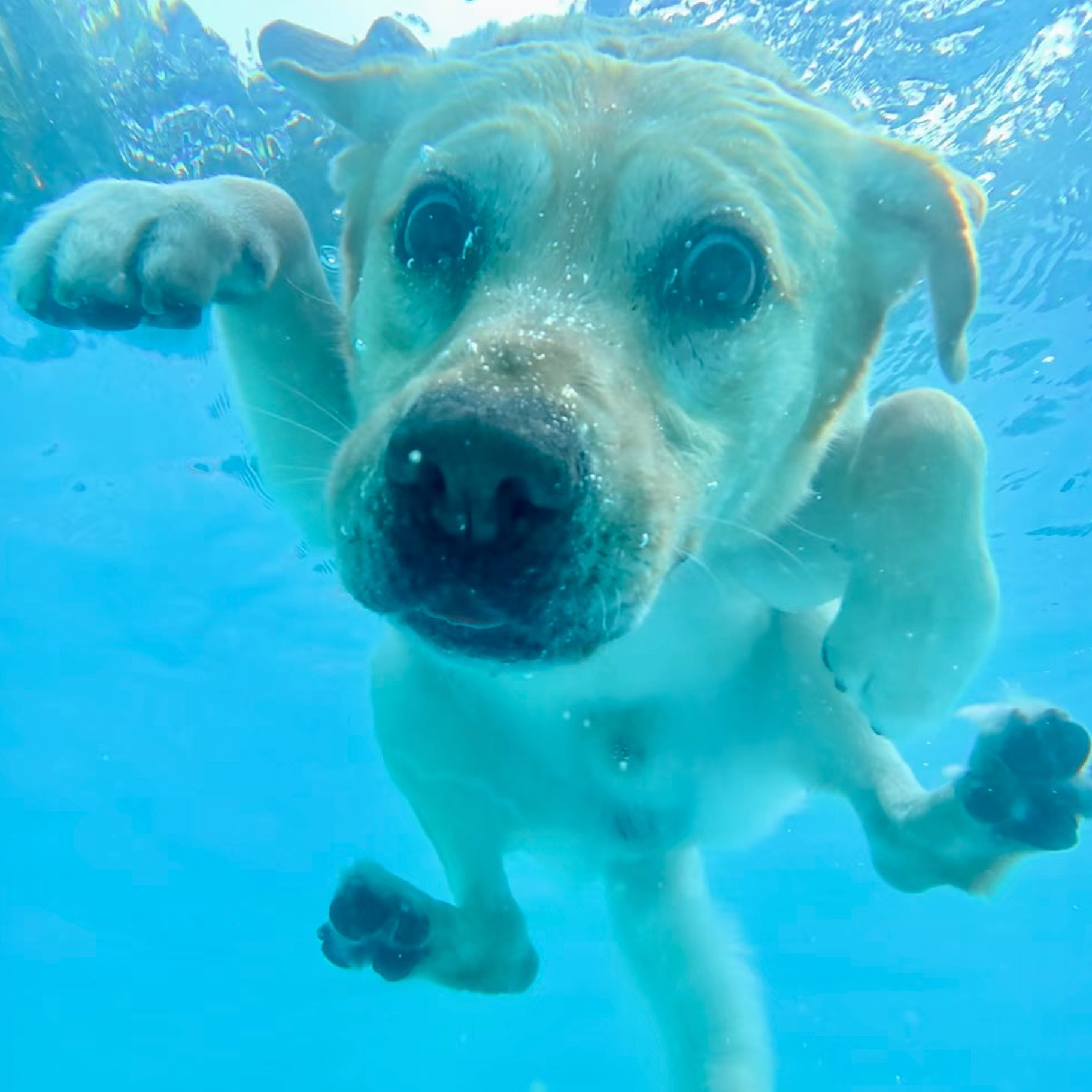 Sub Focus-Solar System - Sub Focus (RAdiKal remix).wav（RADIKAL remix）