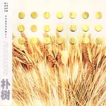7月16日月球辐射出的摇滚