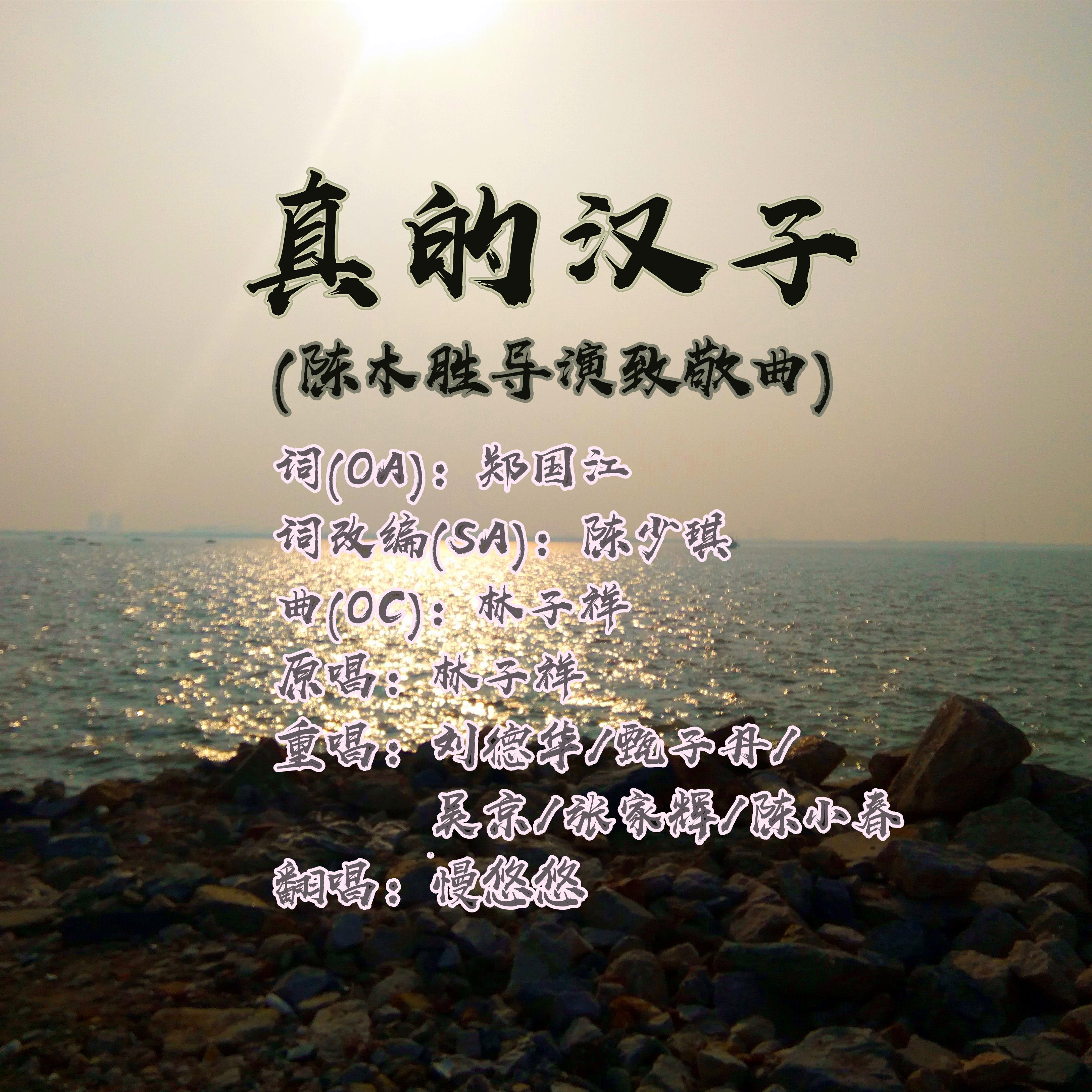 真的汉子 (陈木胜导演致敬曲)封面