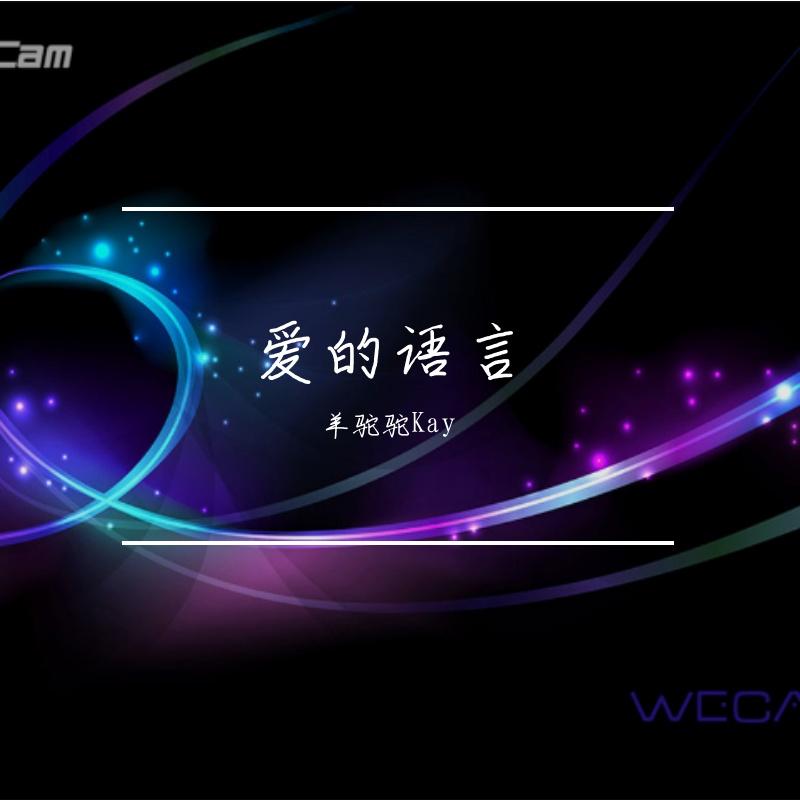 我决定封面