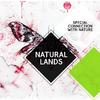 Nature Science Culture Music - Endless Coniferous Night