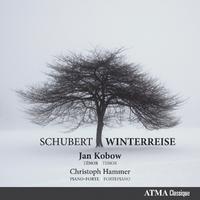 Schubert: Winterreise