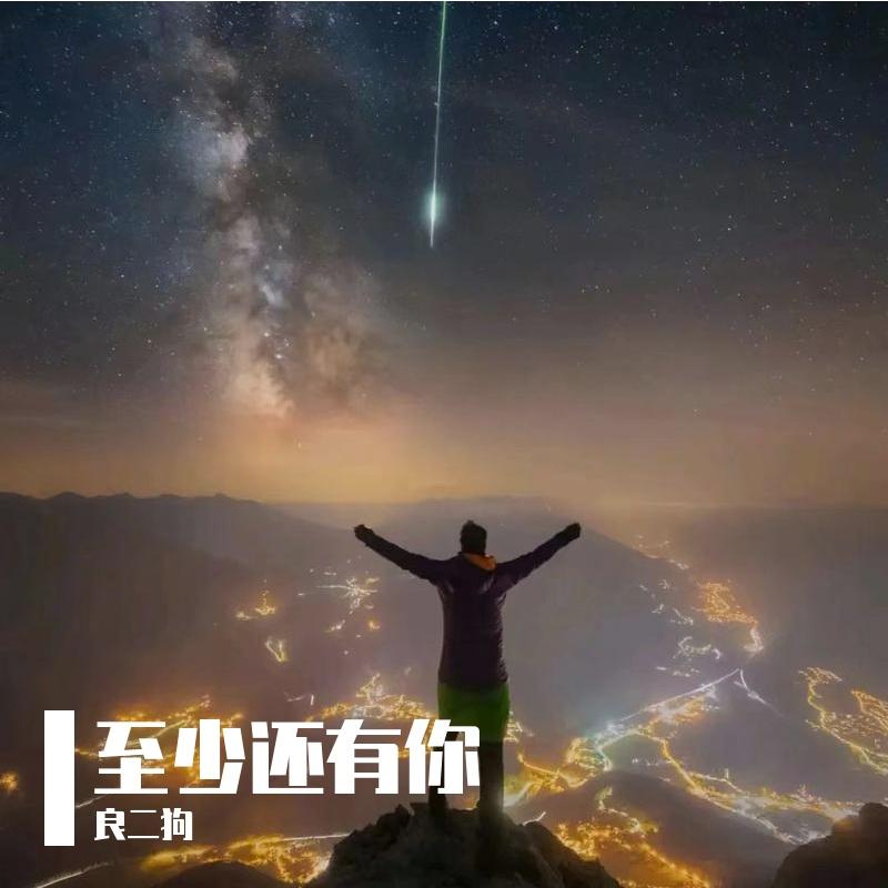 真的好想你（DJ良二狗版） - 良二狗封面