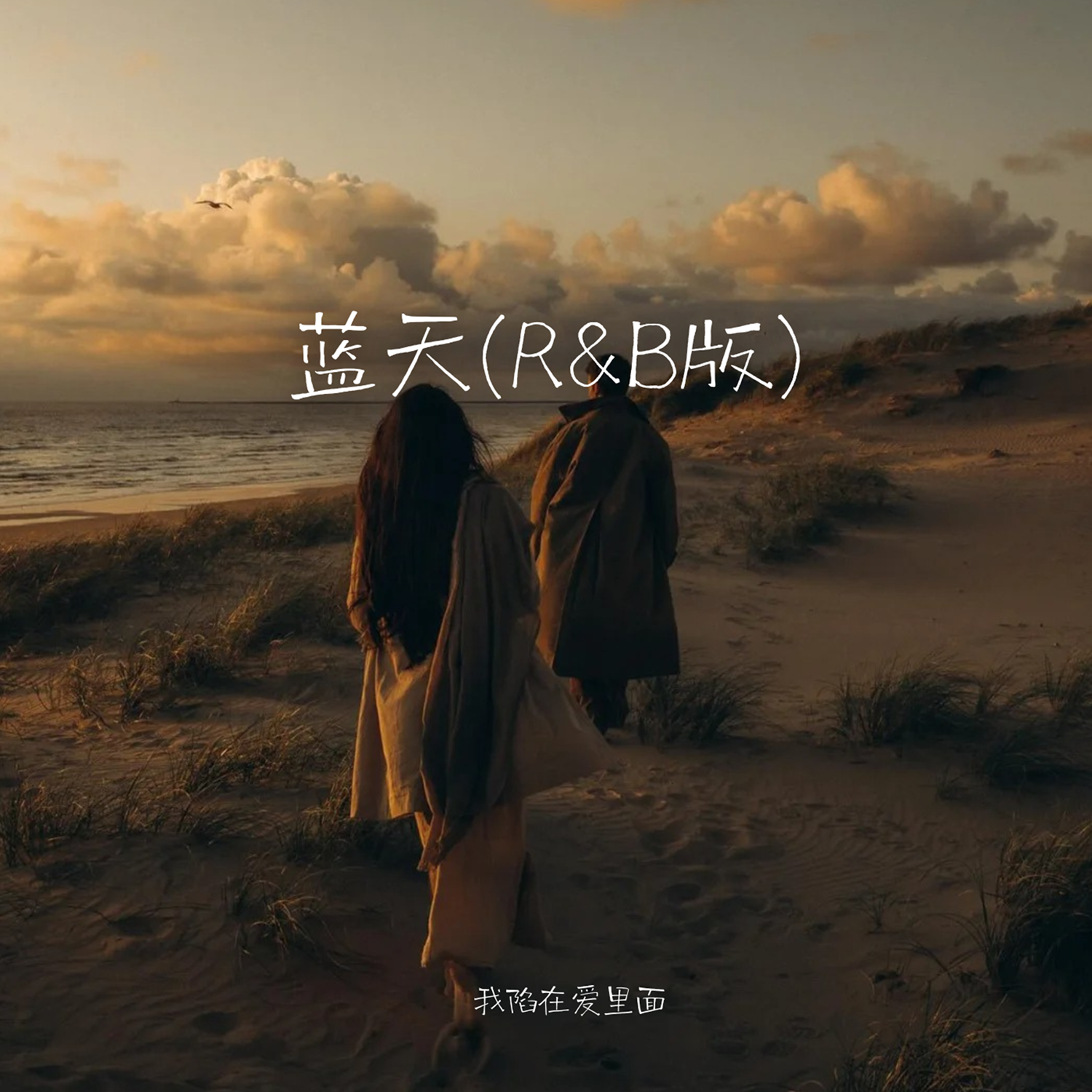 蓝天(R&B版)封面