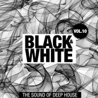 Black & White, Vol. 10