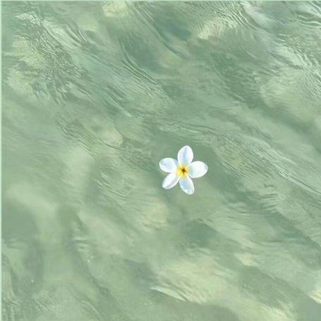 纯音乐(」ﾟﾛﾟ)｣