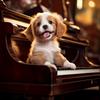 Relaxmydog - Piano Canine Evening Song