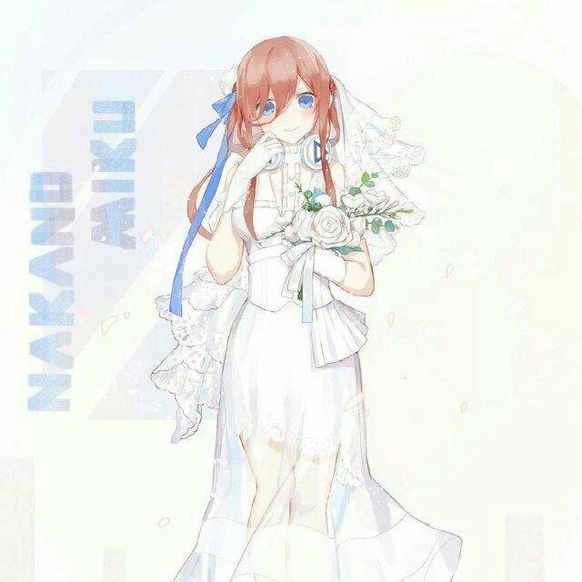 三玖雷姆御用使者