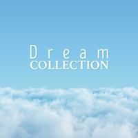 Dream Collection