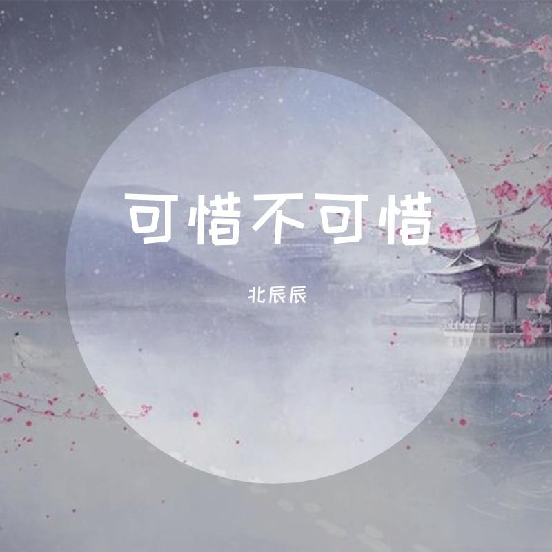 可惜不可惜封面