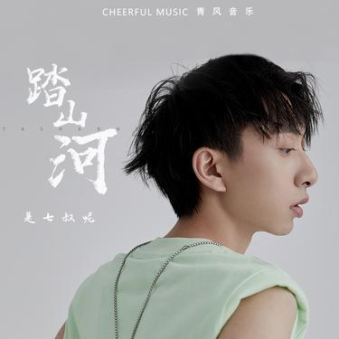踏山河 (DJ版)封面