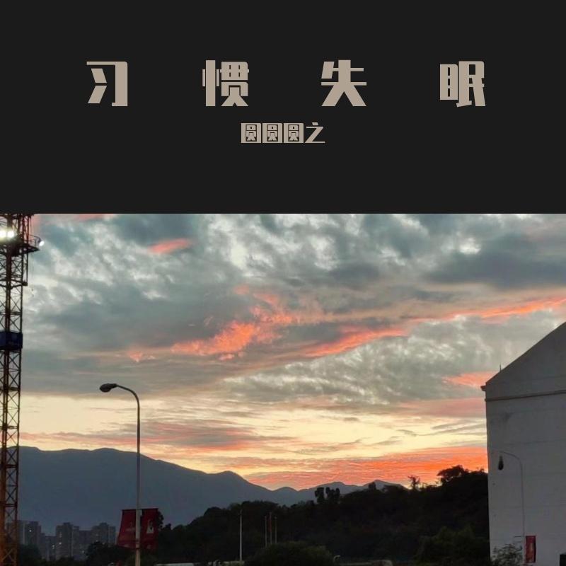 习惯失眠封面