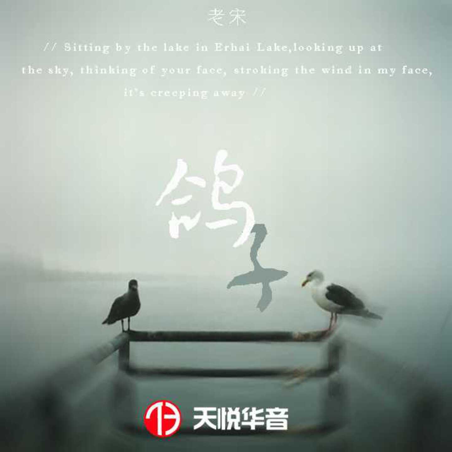 鸽子 (伴奏)封面