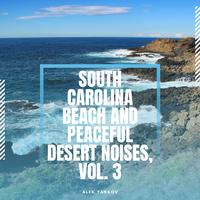 South Carolina Beach and Peaceful Desert Noises, Vol. 3