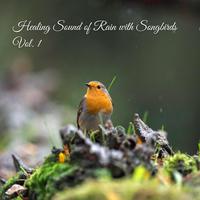 Healing Sound of Rain with Songbirds Vol. 1