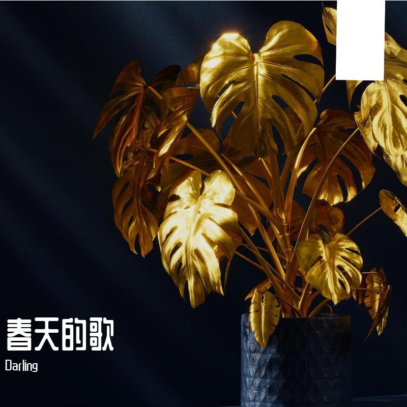 春风吹过 (1)封面