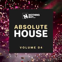 Nothing But... Absolute House, Vol. 04