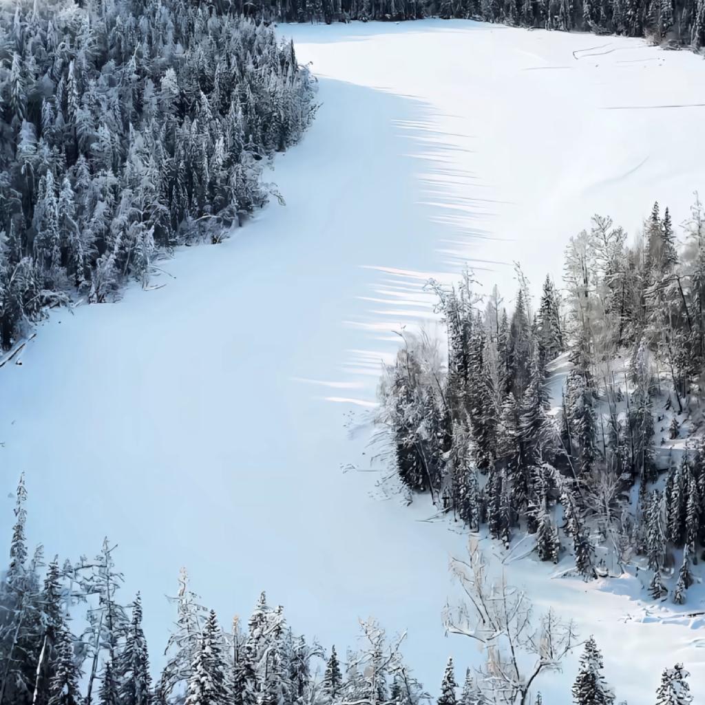 我也不太了解她