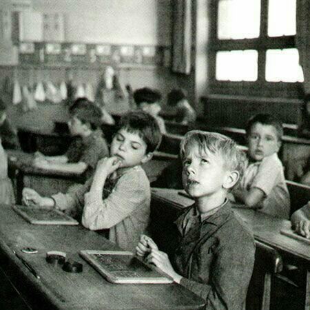 薛定谔不不养猫