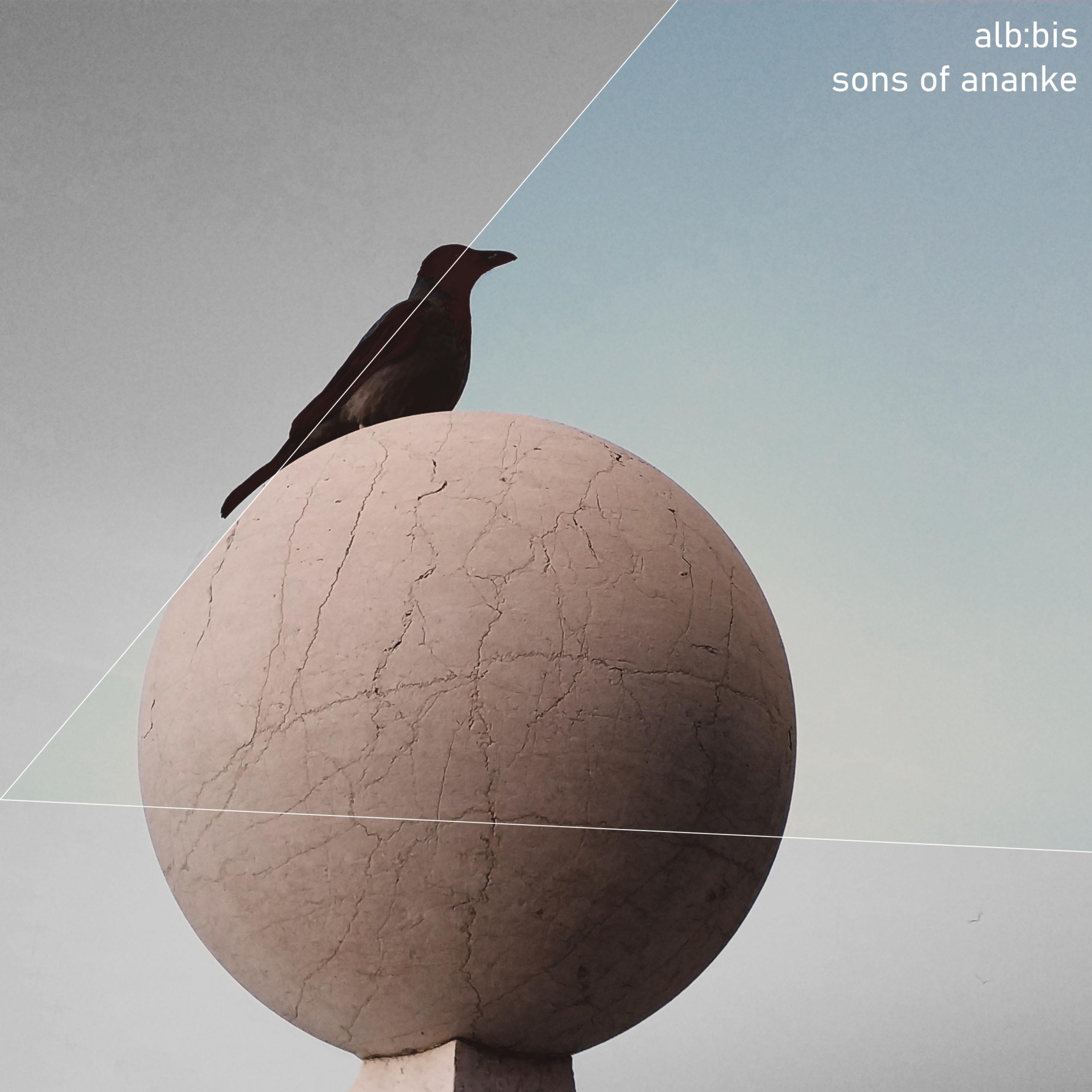 Under the Bodhi Tree