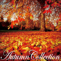 Autumn Collection