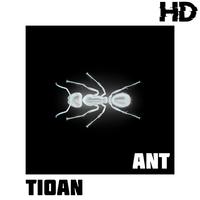 Ant