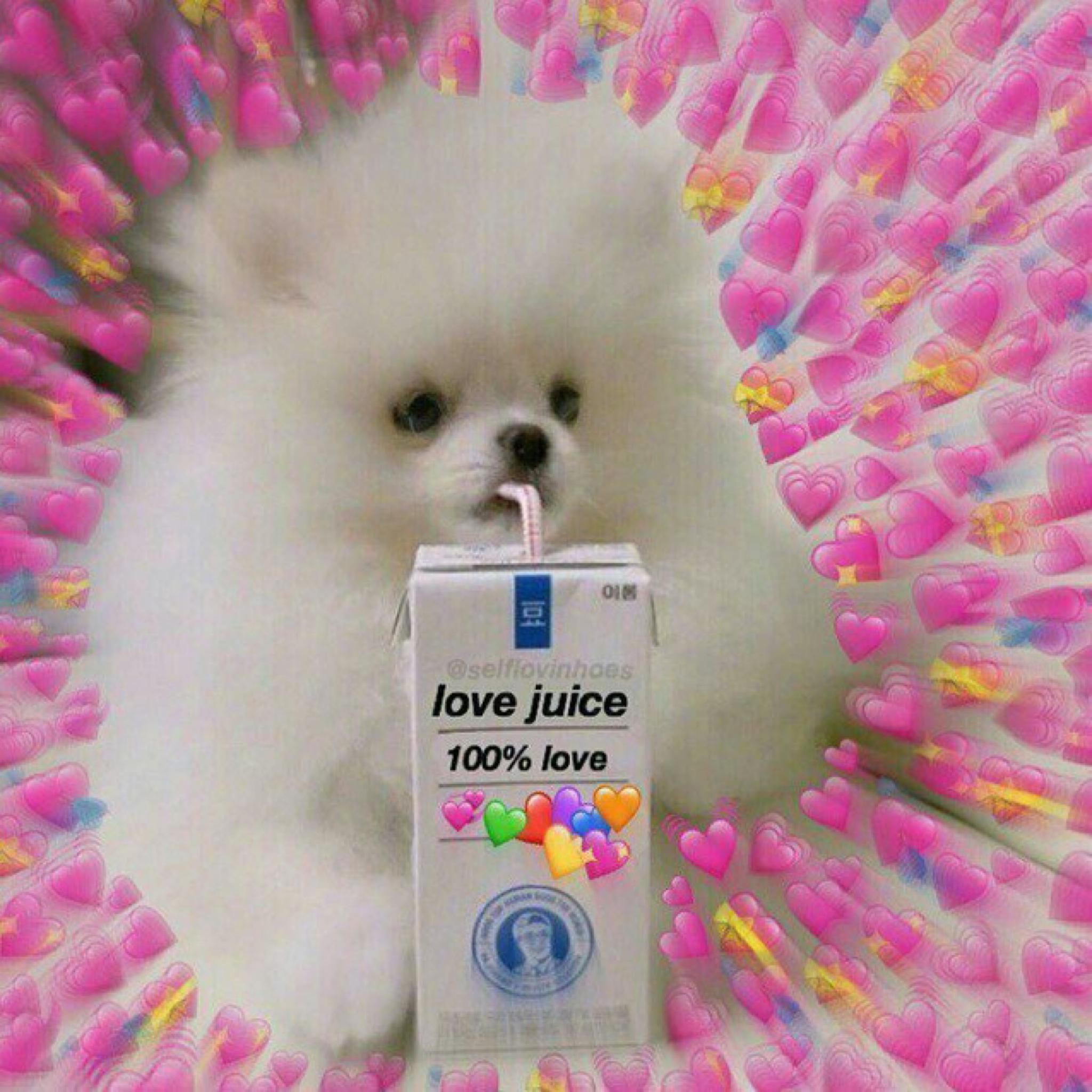 小熊软糖与月光