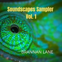 Soundscapes Sampler, Vol. 1