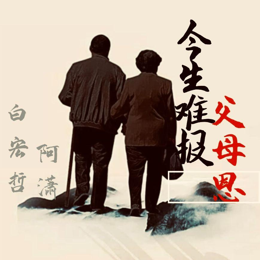 我就陪你到这里(伴奏） - 白宏哲封面