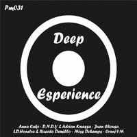 Deep Esperience