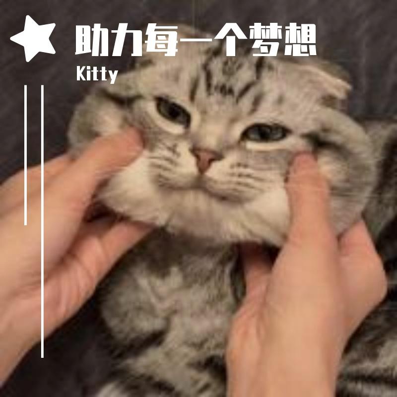 kitty封面