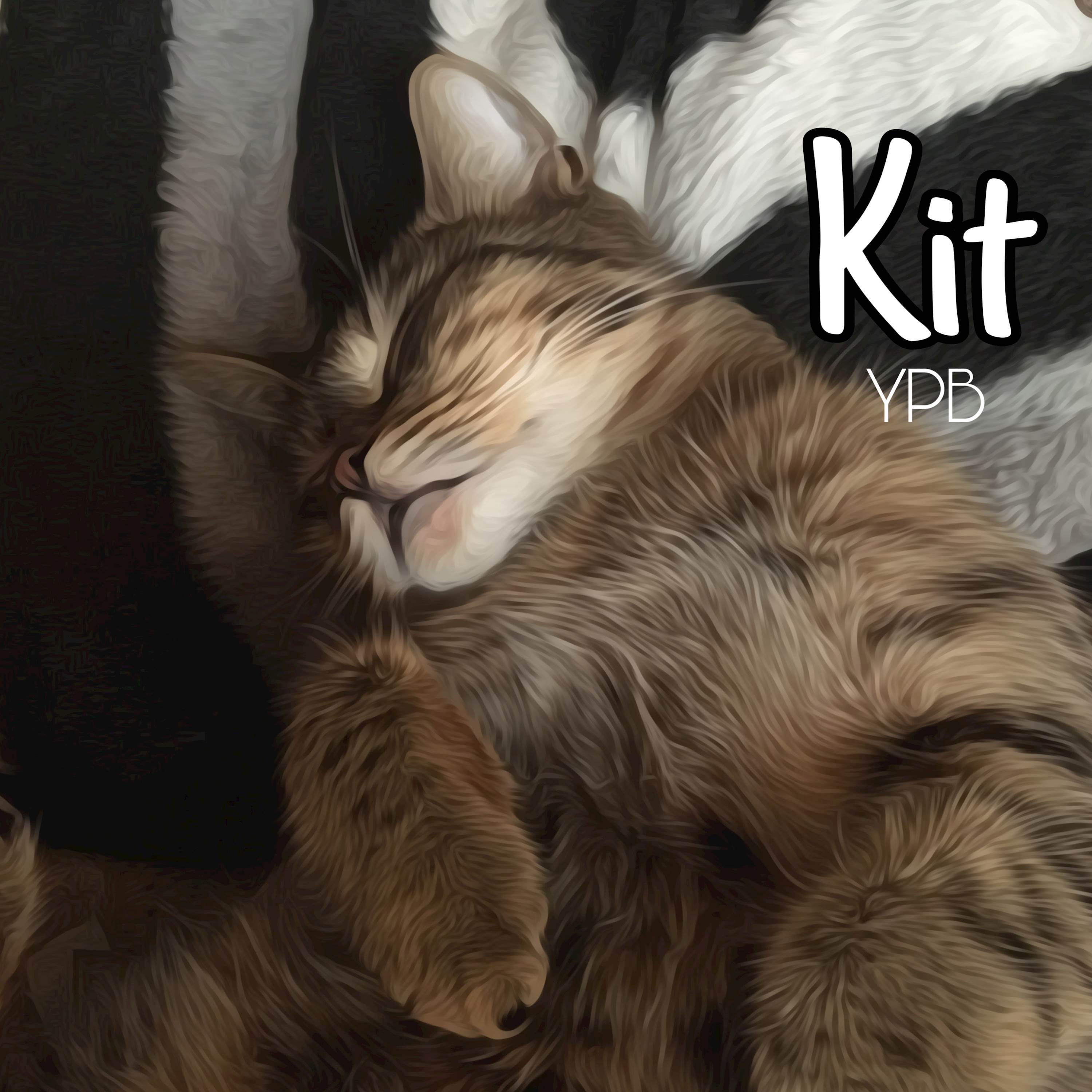 Kit