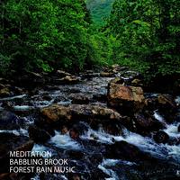 Meditation: Babbling Brook Forest Rain Music