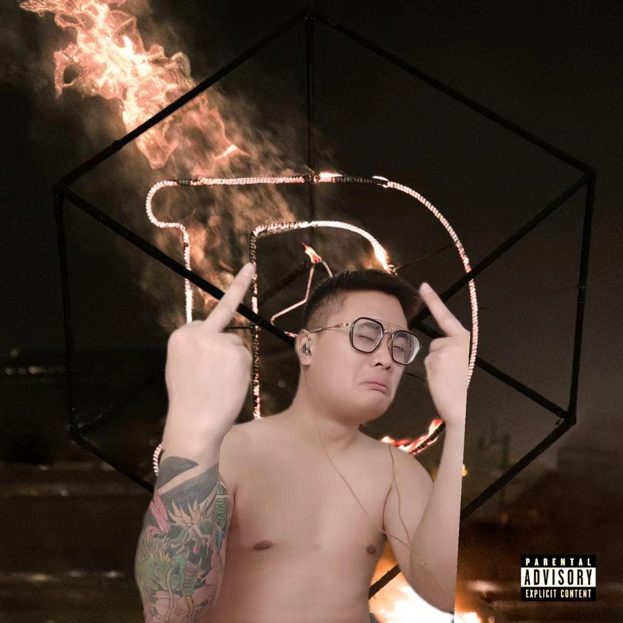 笨蛋天才封面