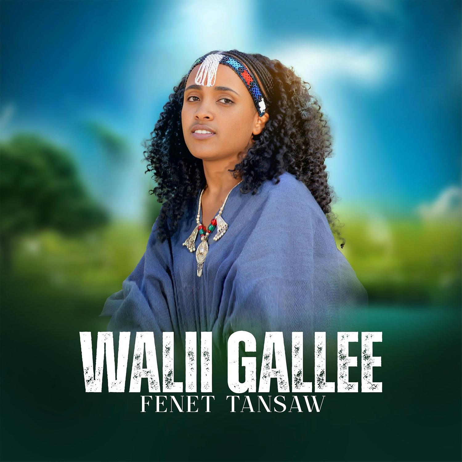 Walii Gallee
