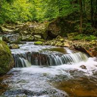 Serenity by Stream: Relaxation's Peaceful Oasis