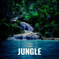 Jungle