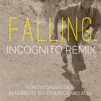 Falling (Incognito Remix) [feat. Incognito]