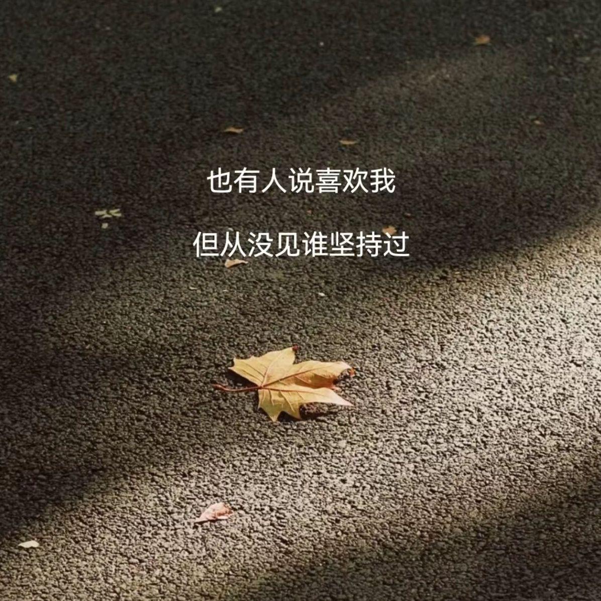 时光汇聚成河封面