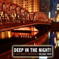 Deep in the Night!, Vol.4 - A Jazz House Experience MDSCOMP 067