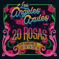 20 Rosas