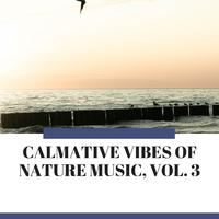 Calmative Vibes of Nature Music, Vol. 3